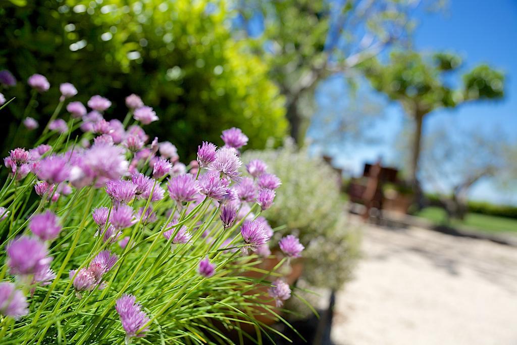 Agriturismo Le Colombe Ассизи Экстерьер фото