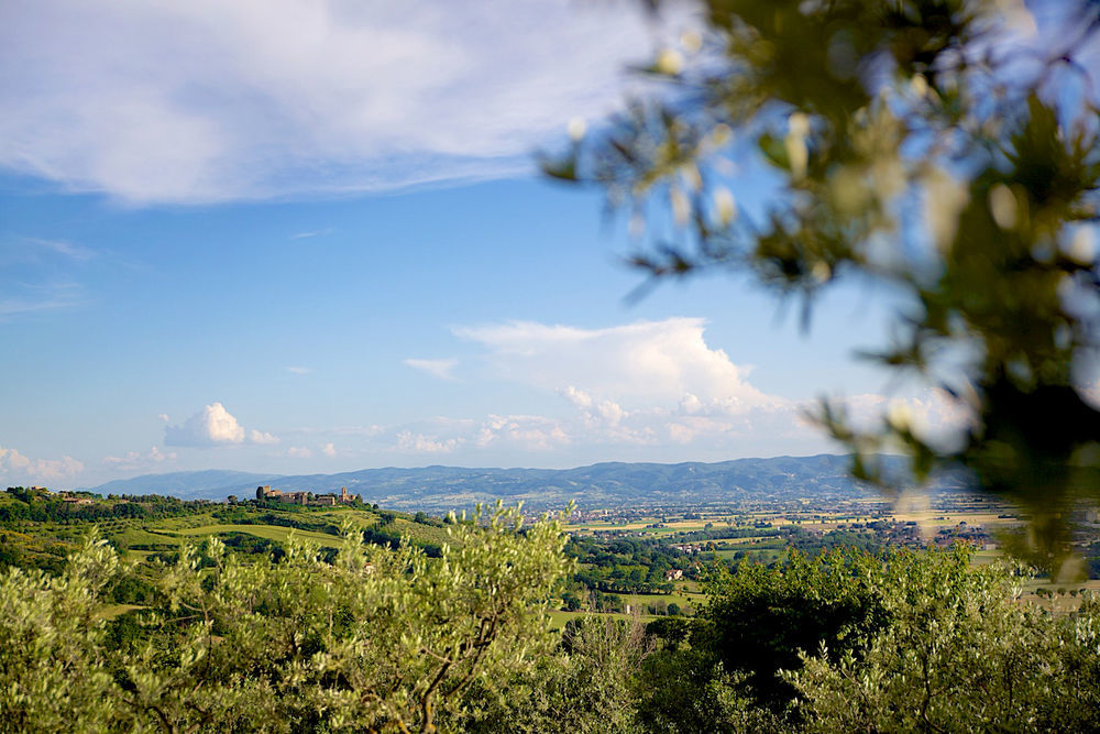 Agriturismo Le Colombe Ассизи Экстерьер фото